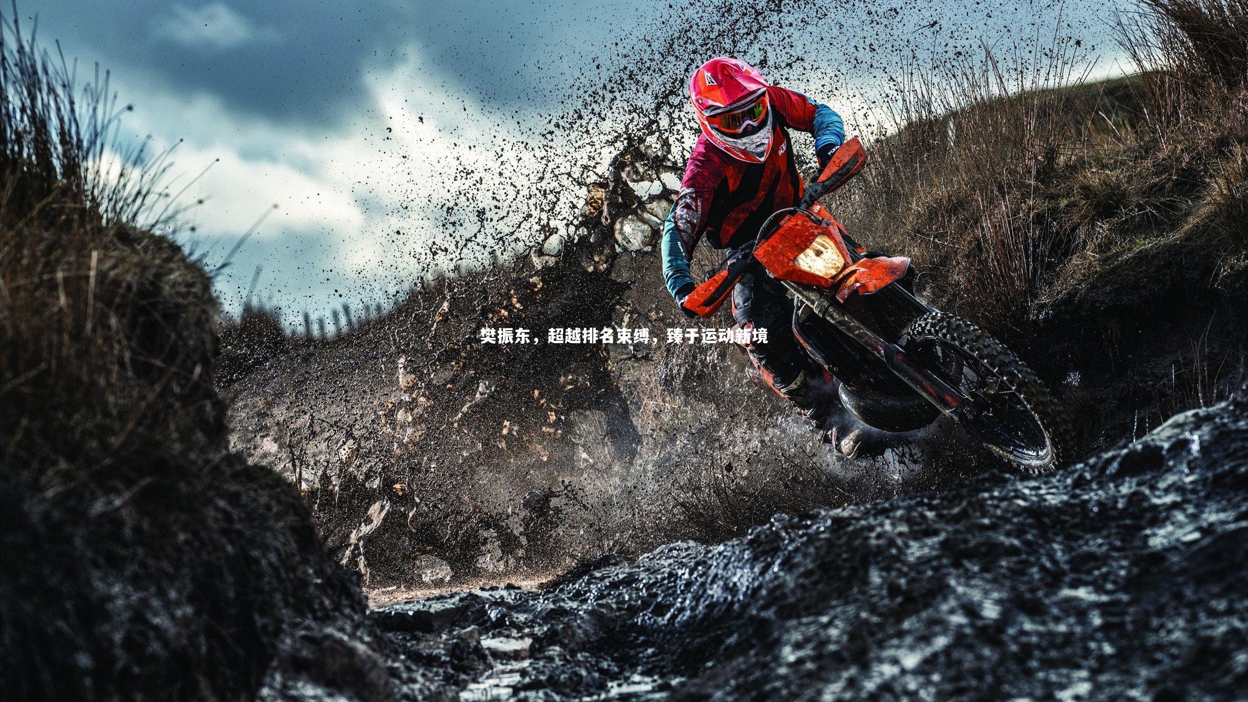 樊振东，超越排名束缚，臻于运动新境